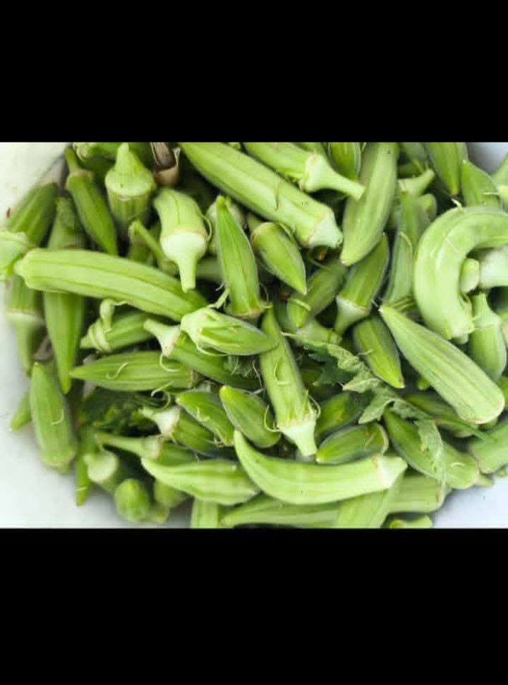 يوجد بذور بانيه بانيه متعهد بها كافه الشروط ***********
