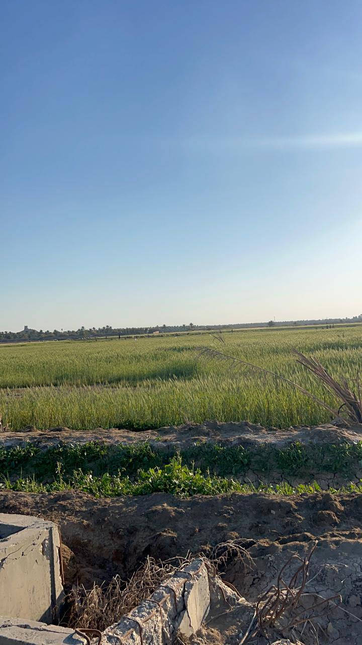 وينهم عاشق الريف ااجيتكم بمزراعه حلوه ومرتبيه متوافر فيه جيمع الخدمات
مساحه الارض 5دونم 🤌
نوع الارض طابو زراعي  سند 25 
مواقع قرب بزل حجي
لاستفسار اكثر الاتصال ***********
