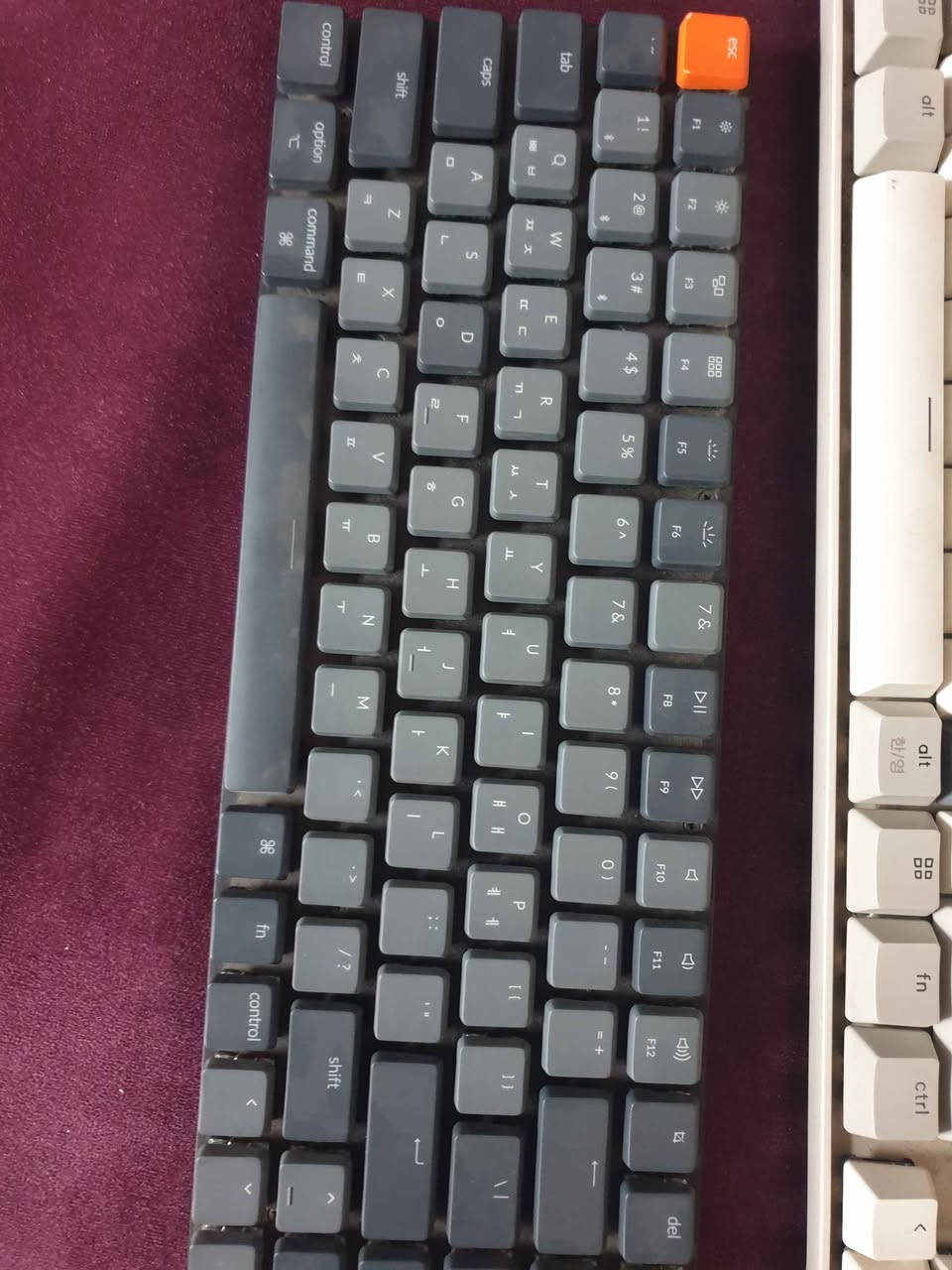 كيبورد ميكانيكي عدد ٥
ابيع كلها 
شرط شغالة وشحن 
موضحة بالصور 
كلها ب50
شحن type C 
لا يتوفر توصيل 
المكان بغداد كرادة بغداد, العراق


**إذا كنت صاحب هذا الإعلان وتريد حذفه لأي سبب، رجاءا أرسل رسالة إلى الدعم الفني**