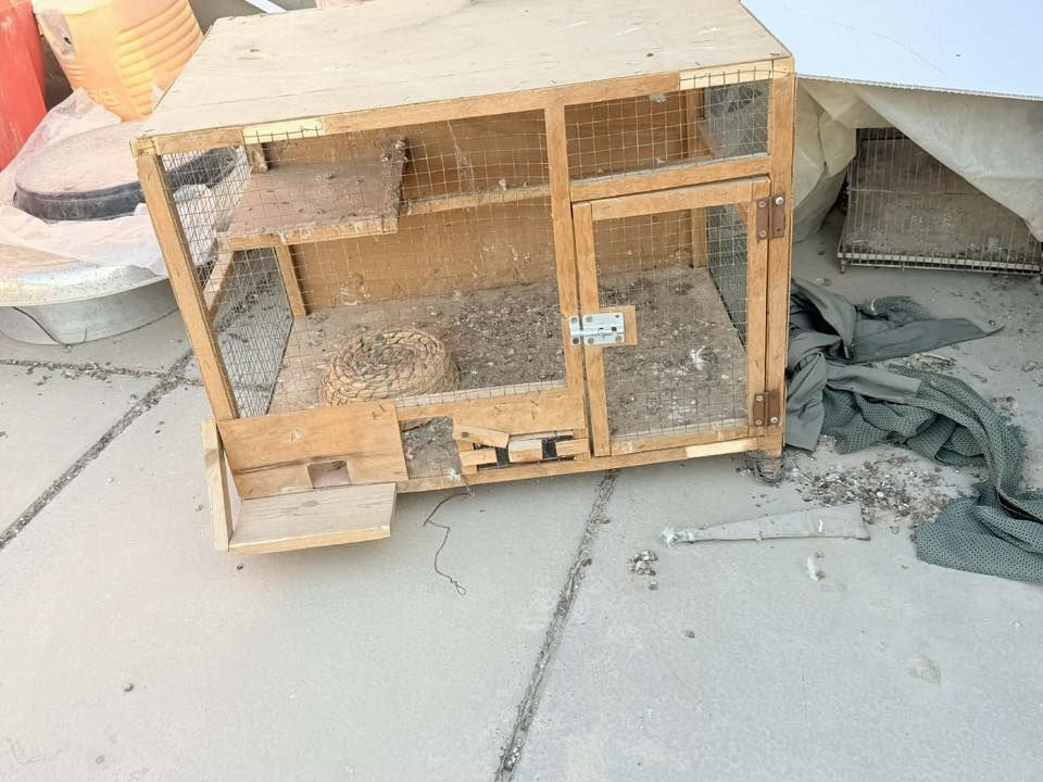 البيع مكان السماوه طريق شنان الربط ***********
