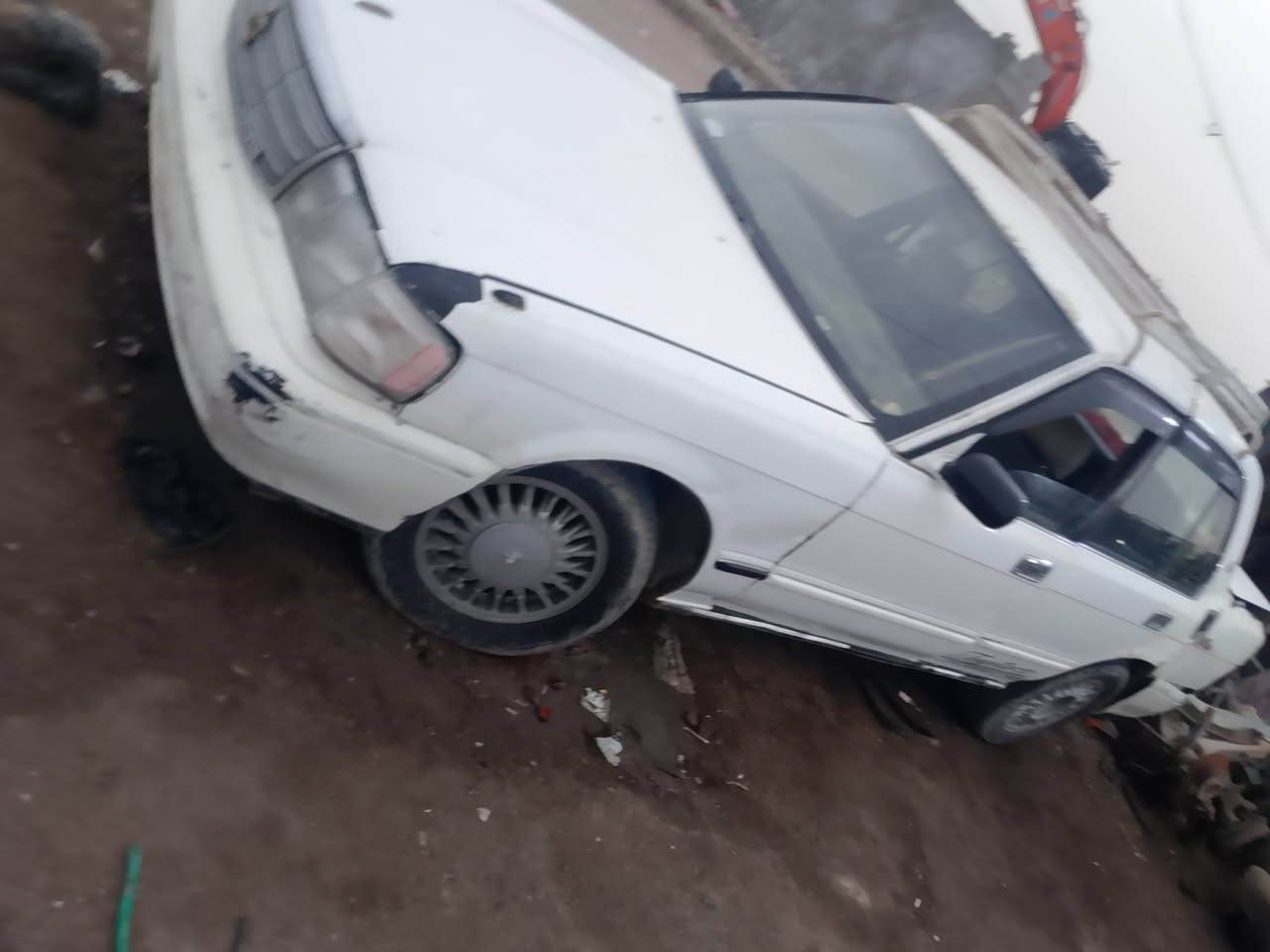 سلام عليكم يوجد غراض ارنب ستم كامل جديد البيع ومكينه ثنين ونص كامله جديده معنه كلمه ***********
