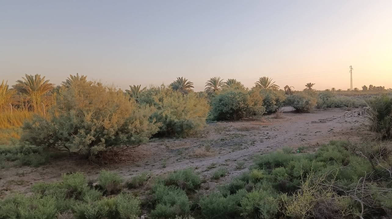 دونم للبيع
في كربلاء على شارع بغداد 
واجهة الدونم 50 متر يبعد عن الإمام 2 كيلو ونص 
يحتوي الدونم على عدد من الأشجار يصلح الدونم ك بناء بيت او حسينيه أو سكن او أي استثمار اخر 
طابو زراعي
الخدمات كامله ماء وكهرباء ومدارس ومحلات 
قريب للشارع الرئيسي يبعد عن شارع بغداد 900 متر
النهر بقربه مباشرة 
ركن على شارعين 
للاستفسار الاتصال على الرقمين
***********
***********
