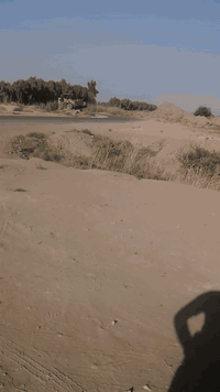 شفل • موديل ١١ • ذي قار