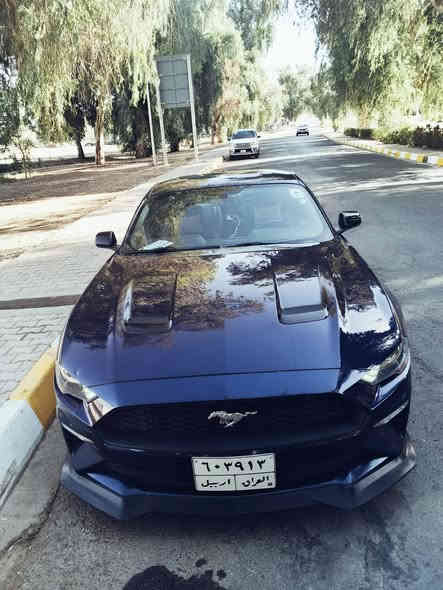 للبيع موستنك ايكو 2018
الحادث مرفق 2 ونص
بجم كبس وبدون ايرباك
ماشية 170 كم

السعر 140$
عنواني كركوك
***********
