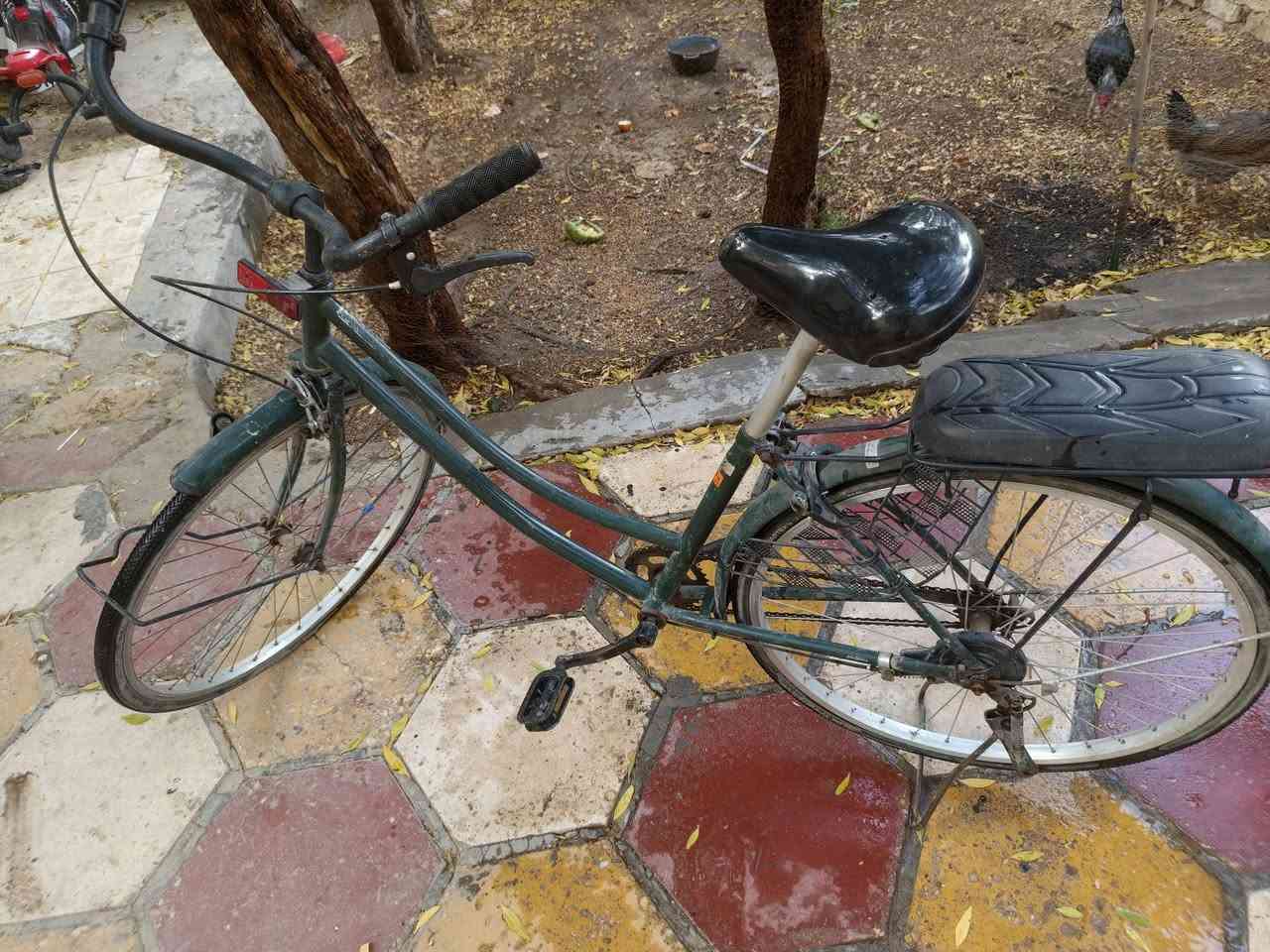 السلام عليكم
باسكل بناتي للبيع حجم 26 الباسكل عوزه فقط تبديل مكينه لان مكينته سايفه وتيول مال ويل سعره55الف قفل عنوان حي اور


**إذا كنت صاحب هذا الإعلان وتريد حذفه لأي سبب، رجاءا أرسل رسالة إلى الدعم الفني**