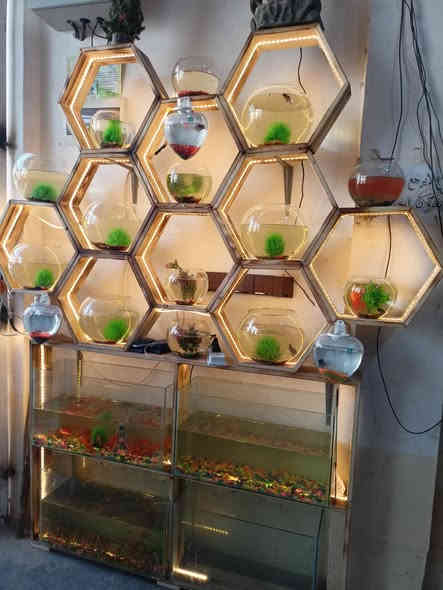 #اعلان 
تعلن #انتيكا_للديكور عمل كافه الاشكال الهندسيه 

مراجيح_سقايف_جلسات_براكيتات اناره_سياج حدائق
وكل مايخص الديكور 

#بأداره حمودي ال عبدالله

للأستفسار 
هـ ***********
هـ ***********

#العنوان📍الشرقاط_اجميله_مجاور اسواق مؤيد العجاج
