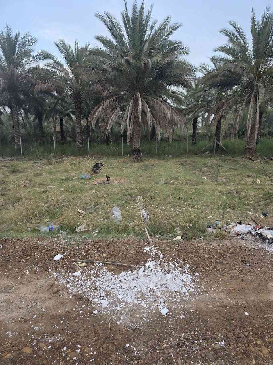 السلام عليكم ورحمة الله وبركاته 🫱🏽‍🫲🏻
متابعينا الكرام 👥
قطعة أرض للبيع المساحة 500متر 
واجهه24 نزال 21🏞
طابو سند 25 سكنيه يتوفر فيها ماء💦 وكهرباء وكافة الخدمات
مكان مميز 💕
العنوان: بغداد /التاجي/ الشيخ حمد نزلة دكتور سليمان( مقابل مدرسة التجدد) 🏫
للاستفسار الاتصال على الارقام الاتيه 
كورك: ***********📞
اسيا: ***********📞
#مكتب_ديرتنا_للعقار 🏢
#بإدارة_احمد_ابومصطفى 🤍
