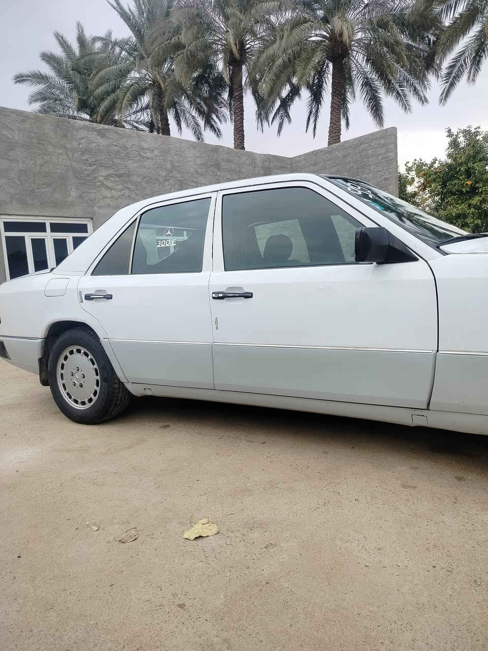 مارسدس دب للبيع موديل 88 محدثه 91 سنويه الحد 28 فتحت سقف محرك بلادي 4سلندر عنكبوت لا تنقيص ولا تبخير منضومت بانزين جديده غواعد دبلات سليمه تخم تأير تبريد شغال مكانها عامريه الفلوجه السعر 53وبيها مجال لشراي رقم التلفون ***********
