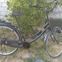 باسكل • حاوية • خاص