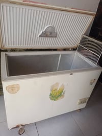 مجمّدة • حجم كبير • عيب بسيط