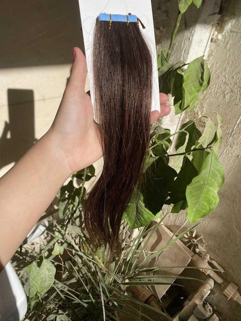 اكستينشن لون بني فاتح الطول مالته 36cm شعر طبيعي  متوفر 3قطع الي تحب تاخذهن اتراسلني خاص


**إذا كنت صاحب هذا الإعلان وتريد حذفه لأي سبب، رجاءا أرسل رسالة إلى الدعم الفني**