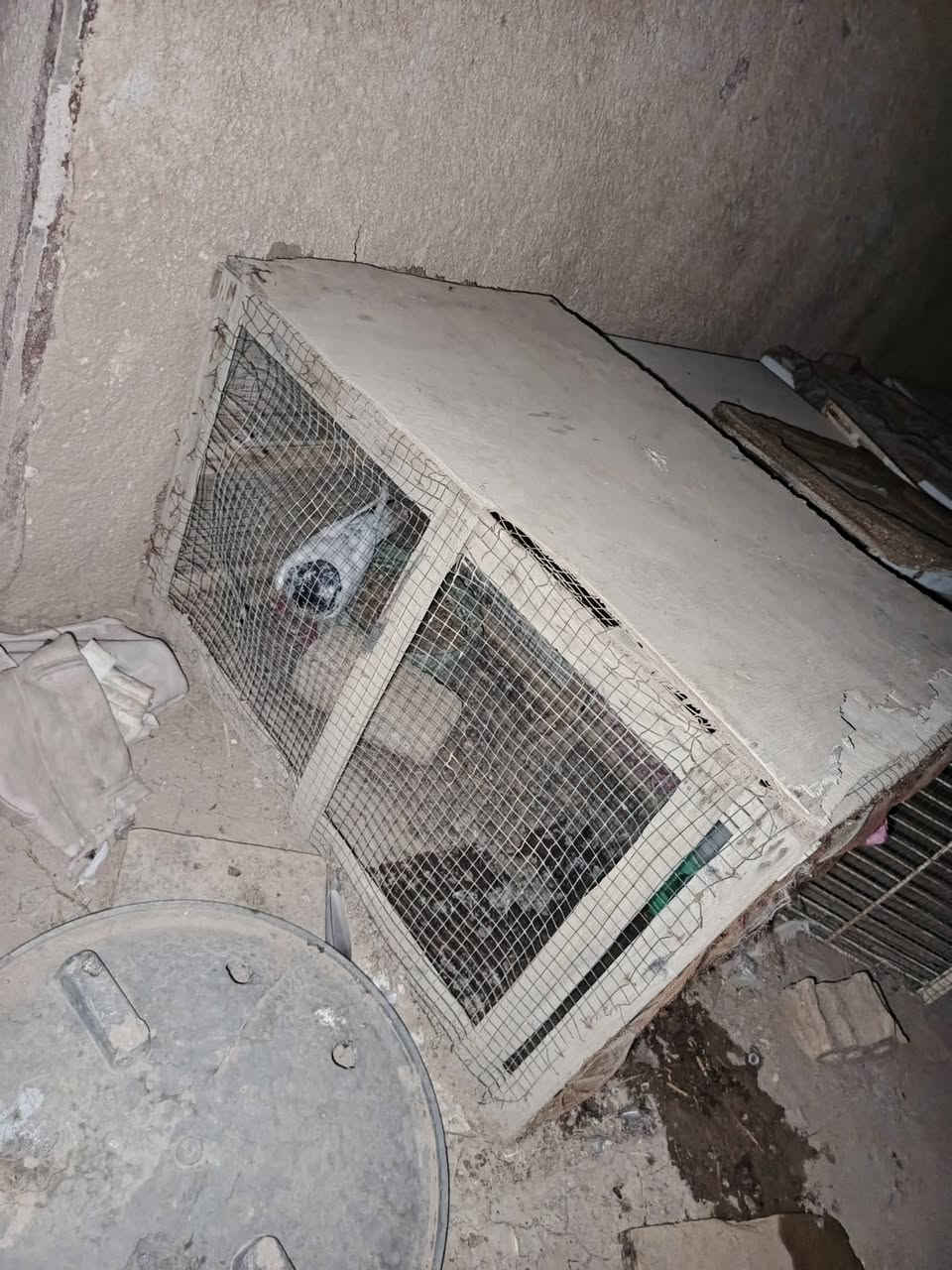 السلام عليكم  قفص للبيع ويا خانه سعرر 45و بيهن مجال مكاني قلعه سكر هاذه رقمي بي واتساب ‏‪***********‬‏
