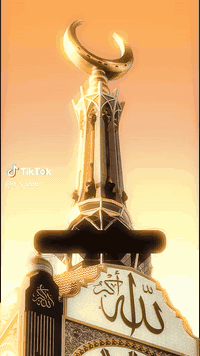 لله الحمد والشكر والمنه
المقاعد الاخيرة لرحلة #البر يوم ١٢/١٨
سارعوا بتسليم جوازاتكم
للاستفسار الاتصال على الارقام
***********
*********** متوفر واتساب
شركة رواحل /فرع اليوسفية القصر الاوسط مقابل مدرسة ابو مهدي
