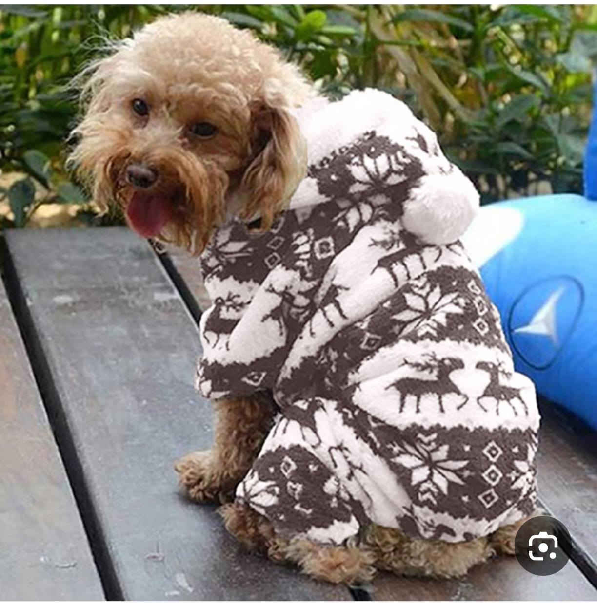 متوفر اغراض قطط وكلاب وبسعر مناسب توجد خدمة توصيل لجميع المحافظات


**إذا كنت صاحب هذا الإعلان وتريد حذفه لأي سبب، رجاءا أرسل رسالة إلى الدعم الفني**