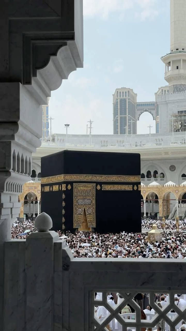 عمرة بر ،،،، السعر 750 ألف دينار فقط  ،،،برنامج كامل ٣ وجبات طعام بوفية، ،،حقيبة كتف، حقيبة كبيرة، ،أحرام، ،،مزرات، ،، ،٢ ليلة في المدينة، ،٥ ليلة مكة المكرمة، ،،


**إذا كنت صاحب هذا الإعلان وتريد حذفه لأي سبب، رجاءا أرسل رسالة إلى الدعم الفني**