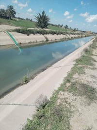 7 دوانم لأصحاب الإمكانية القليله السعر 7 مليون للدونم الواحد قفل  اتصا...