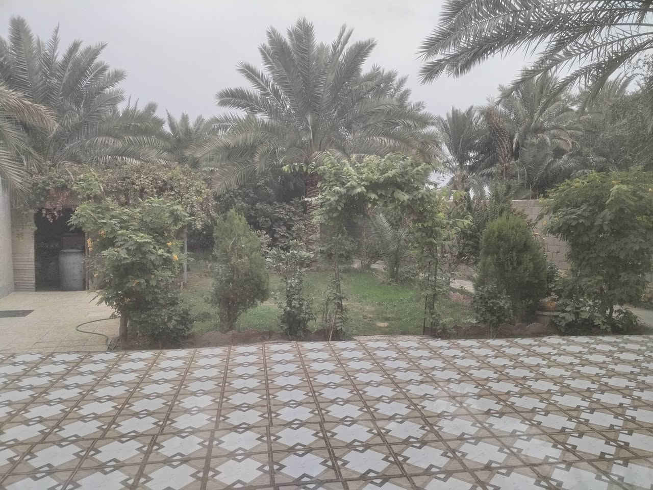 بيت عله طريق السنيه حي الامين الأول مساحة 650 م يتكون من 2 غرف وستقبال ومطبخ وصاله وحمام ومجموعه الصحيات خارجيه حديقه حلوه تمر حمال تين حمال عنب حمال للاستفسار عله ***********
