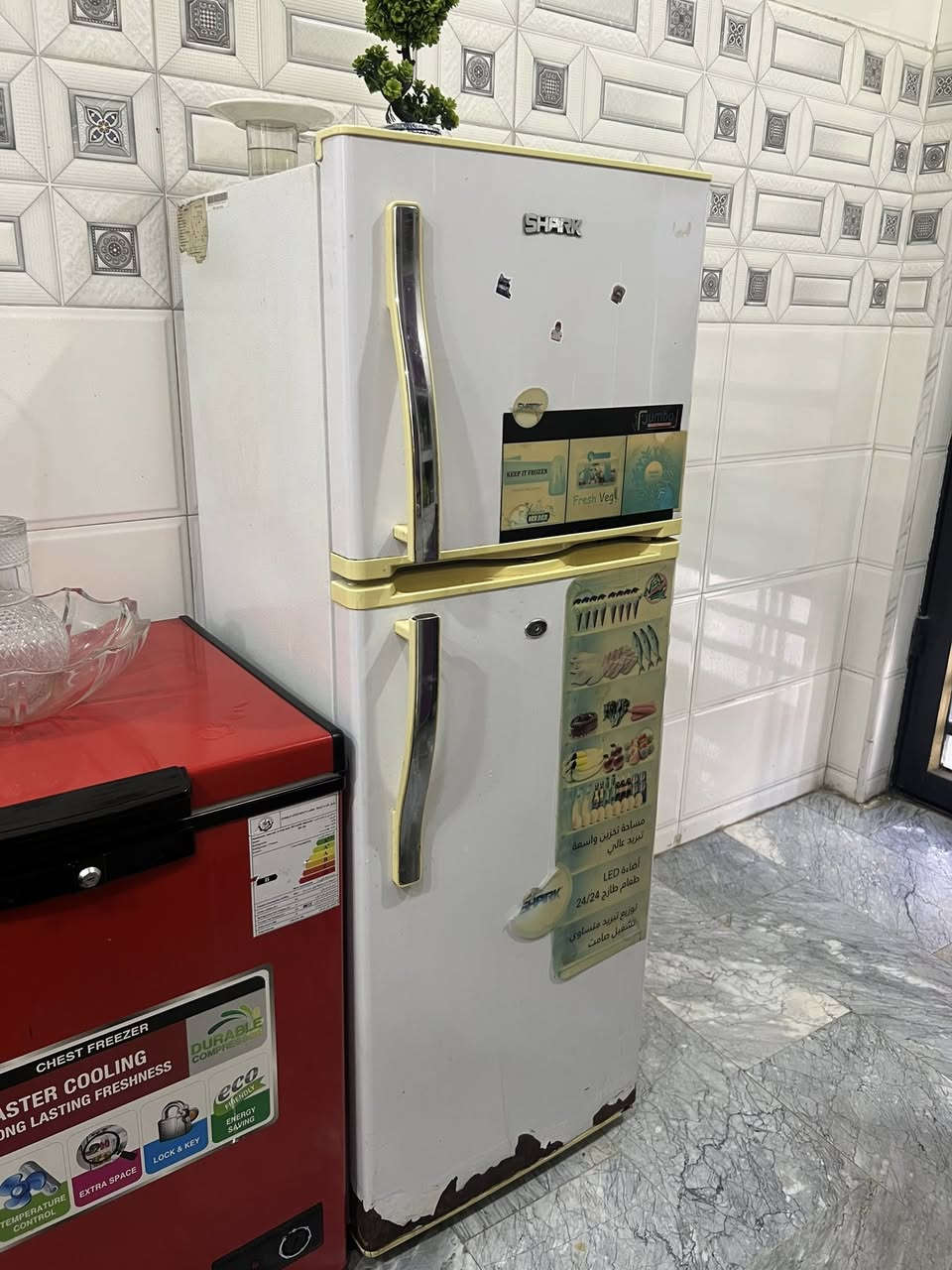 ثلاجه للبيع سعر 125 مكان حريه  خاص للستفسار


**إذا كنت صاحب هذا الإعلان وتريد حذفه لأي سبب، رجاءا أرسل رسالة إلى الدعم الفني**