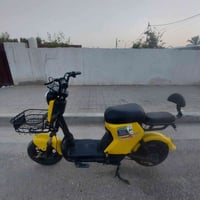 باسكل شحن • كربلاء • واتساب