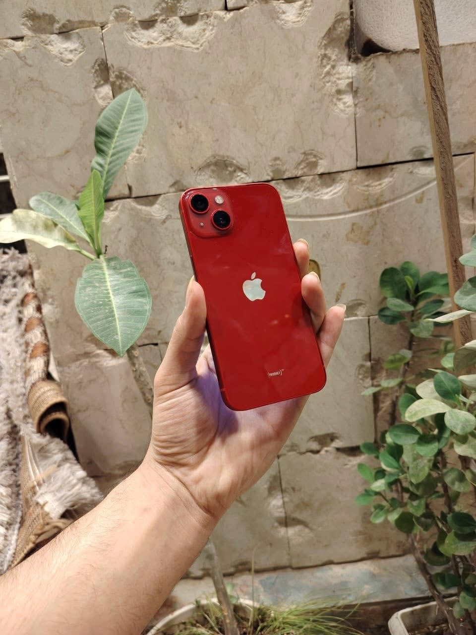 أيفون 13 عادي للبيع بسعر 440 الشراي يراسلني خاص مكاني العماره حي العسكري
ذاكره 128
بطاريه87
نموذج m أمريكي
مكفول من كلشي ع فحص
ملحقات كامله كارتون وشاحنه و 2 كفرات هاي تفاصيله كامله مو تراسلني وتكلي شنو تفاصيله


**إذا كنت صاحب هذا الإعلان وتريد حذفه لأي سبب، رجاءا أرسل رسالة إلى الدعم الفني**