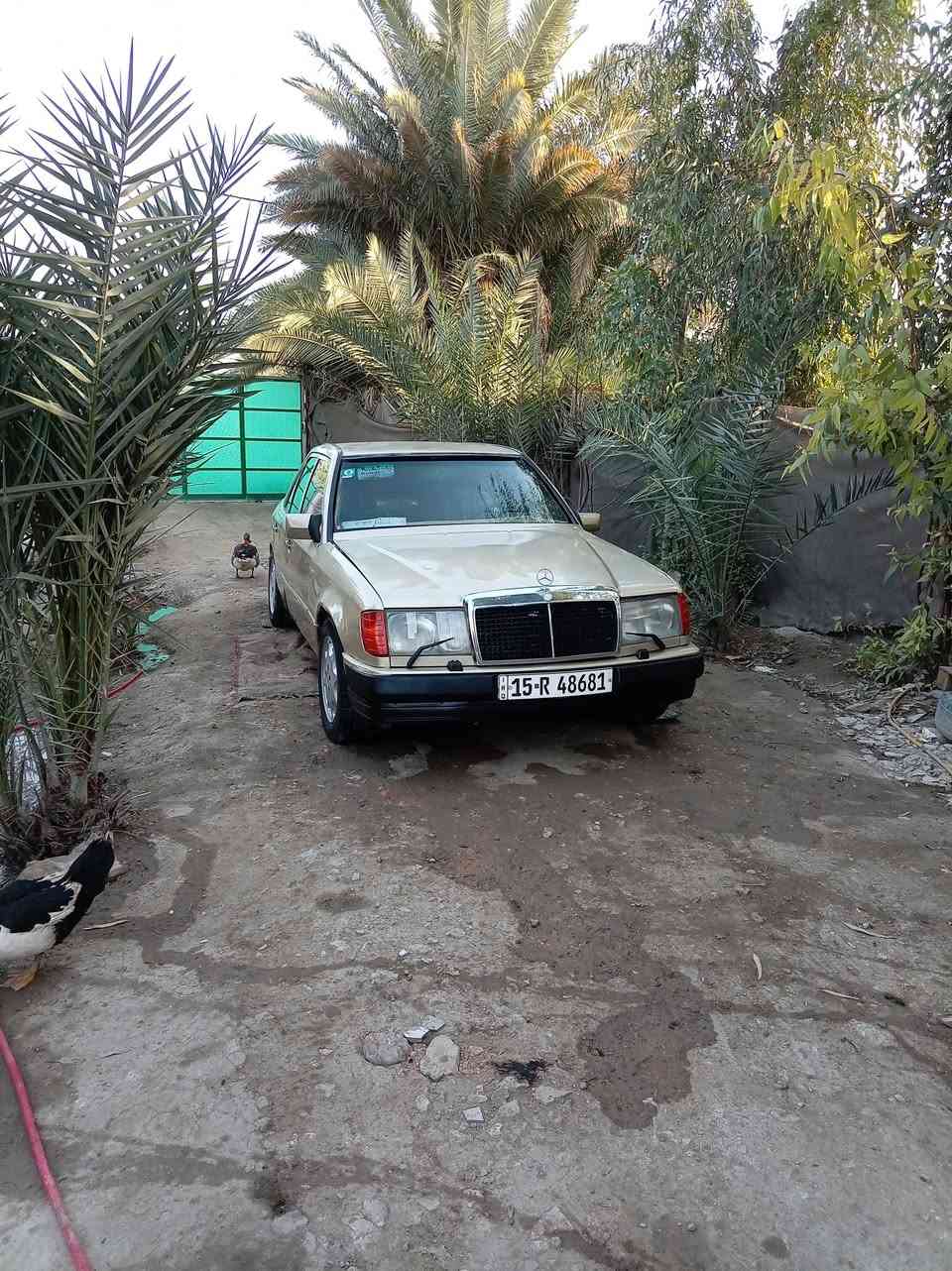 السلام عليكم بيع او مراوس مارس دب موديل 87مشروع وطني محرك بطة بيهة صوت براص ***********/السعر 30وبيه مجال قليل
