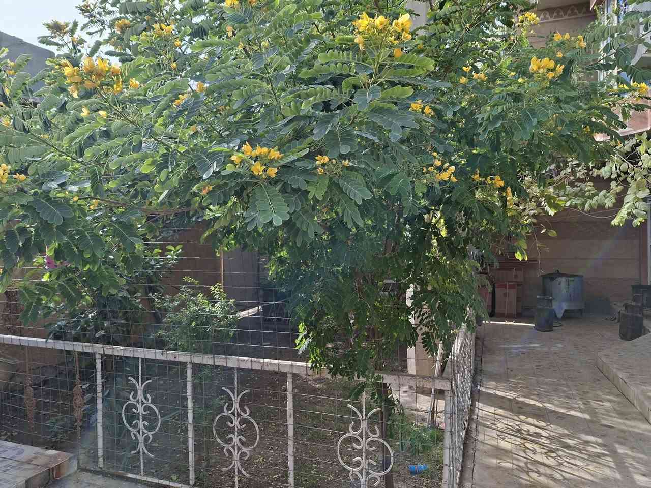 الدار للبيع ميسان حي الرساله شارع ابو السماعات المنزل ركن مساحته الكليه 254 يحتوي المنزل على 6 غرفه مع 2 صاله مع 3 مجمعات صحيه مع مطبخ واستقبال كبير وحديقه منزليه وكراج سياره داخلي الاستفسار الاتصال على الرقم التالي *********** سيد محمد
