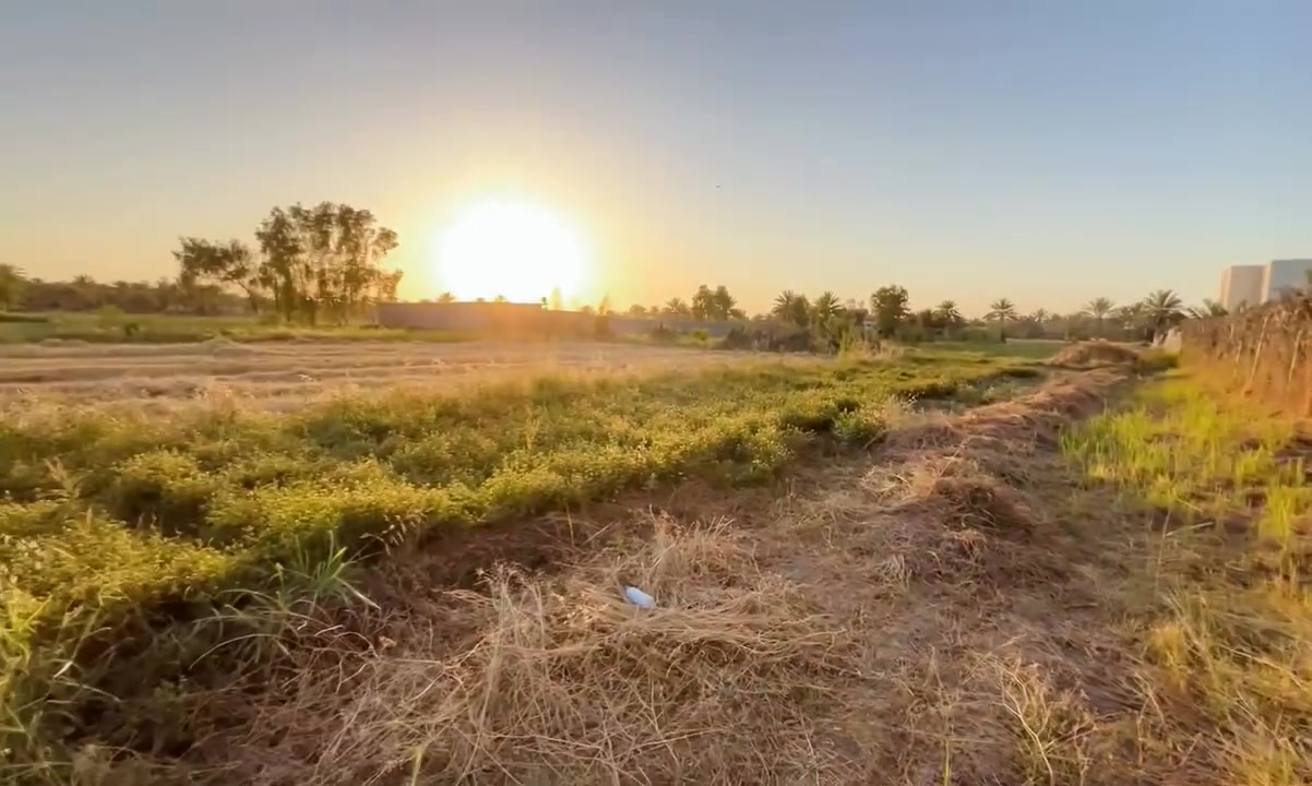السلام عليكم
ارض زراعية للبيع 
سند 25 طابو  مع سهم اخضر (يعني حدود بلديّة مستقبلا) 
المساحة دونم ⬅️2500متر 
الموقع بابل قرية البوعلوان شارع ابو الطيارة. قرب جامع البتول. تبعد عن الشارع. 500متر 
الموصفات:الخاصة بالارض :
ماء اسالة 💧 
كهرباء ⚡️ 
+ طريقها مشمول بالتبليط 
خدمات إضافية ايظا أسواق وصيدلية ومدرسة 
الاستفسار.
***********
