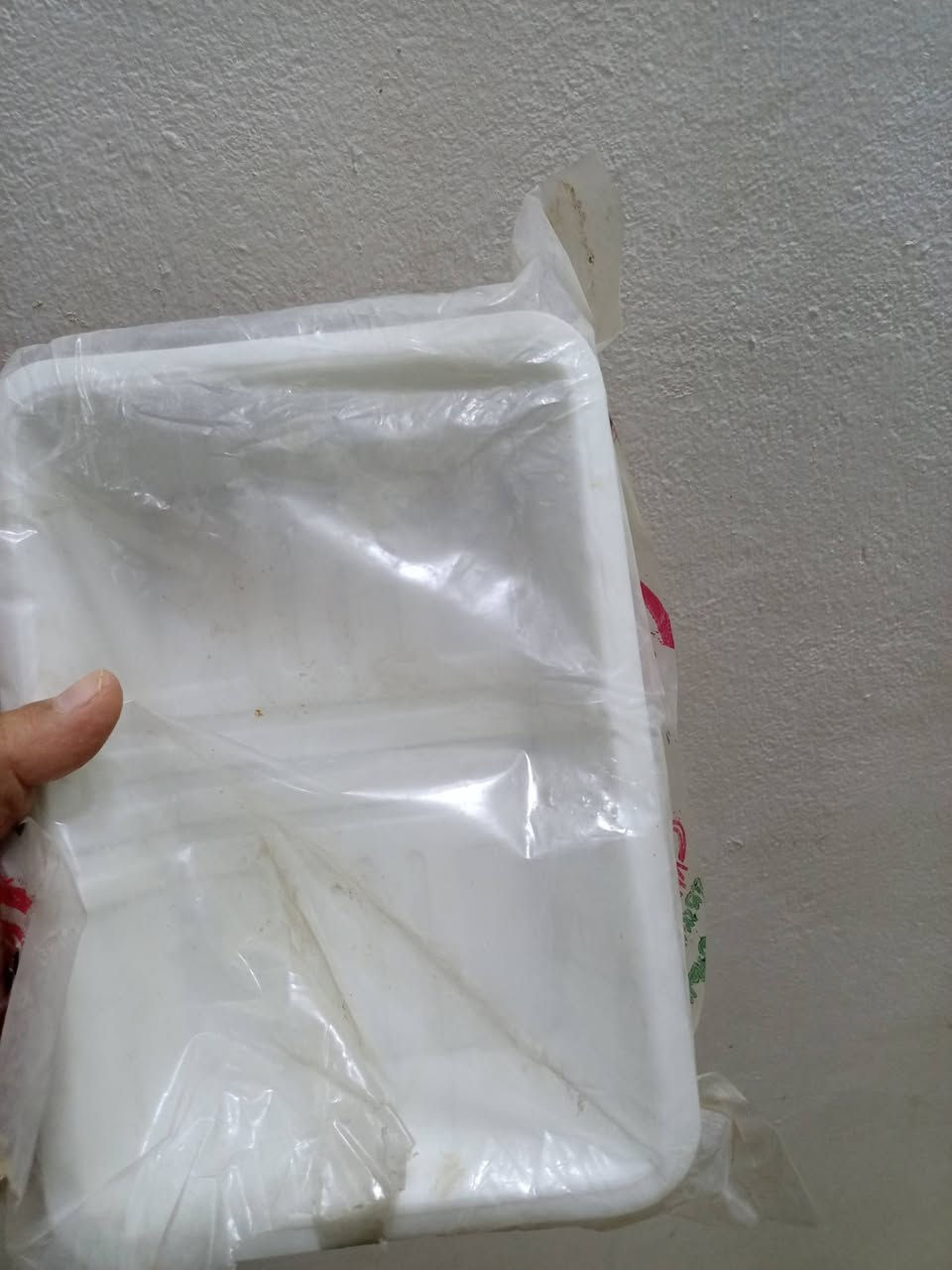 ماعون سفري 
كل درزنين بالف ونص 
كل درزن بيه خمسين ماعون 
كميه فليله


**إذا كنت صاحب هذا الإعلان وتريد حذفه لأي سبب، رجاءا أرسل رسالة إلى الدعم الفني**