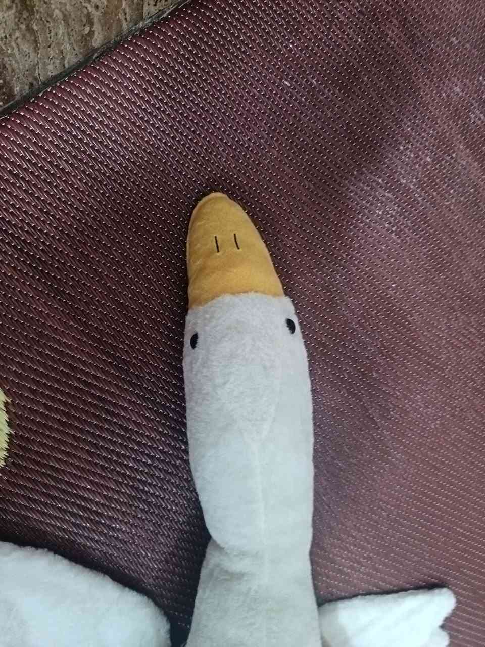 السلام علیکم لعابة بطة للبيع نضيفه وجديدة


**إذا كنت صاحب هذا الإعلان وتريد حذفه لأي سبب، رجاءا أرسل رسالة إلى الدعم الفني**