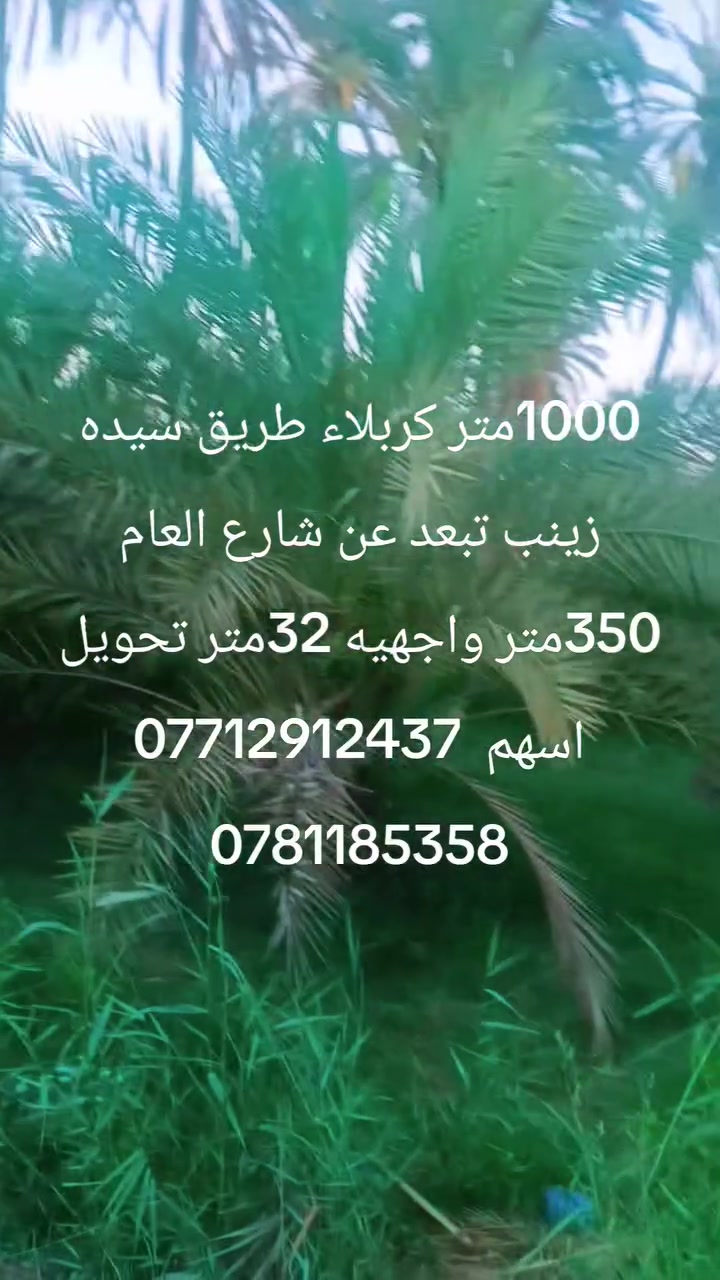 1000متر طابو سند 25تحويل اسهم كربلاء طريق سيدة زينب  تبعد عن شارع العام 350متر واجهيه 32متر 
***********
***********
