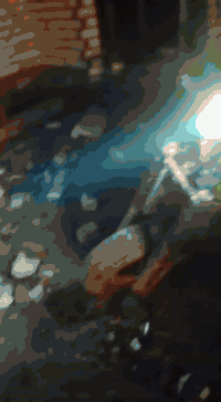 ستوتة للبيع السعر 450.07836299736وتساب