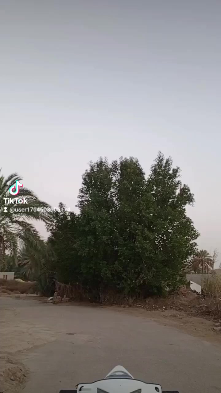 دراجة كامكو للبيع ماناقصه شي شغاله نص نكره كهربئيات كيجات كلشي شغال  اتصل على الرقم الموجود *********** وتدلل
