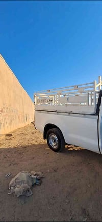 بيكب • ٢٠١١ • بلا صبغ