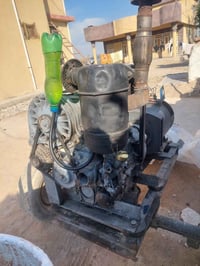 دويز • ٢بستم • مصري