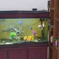 حوض • سمج • للبيع