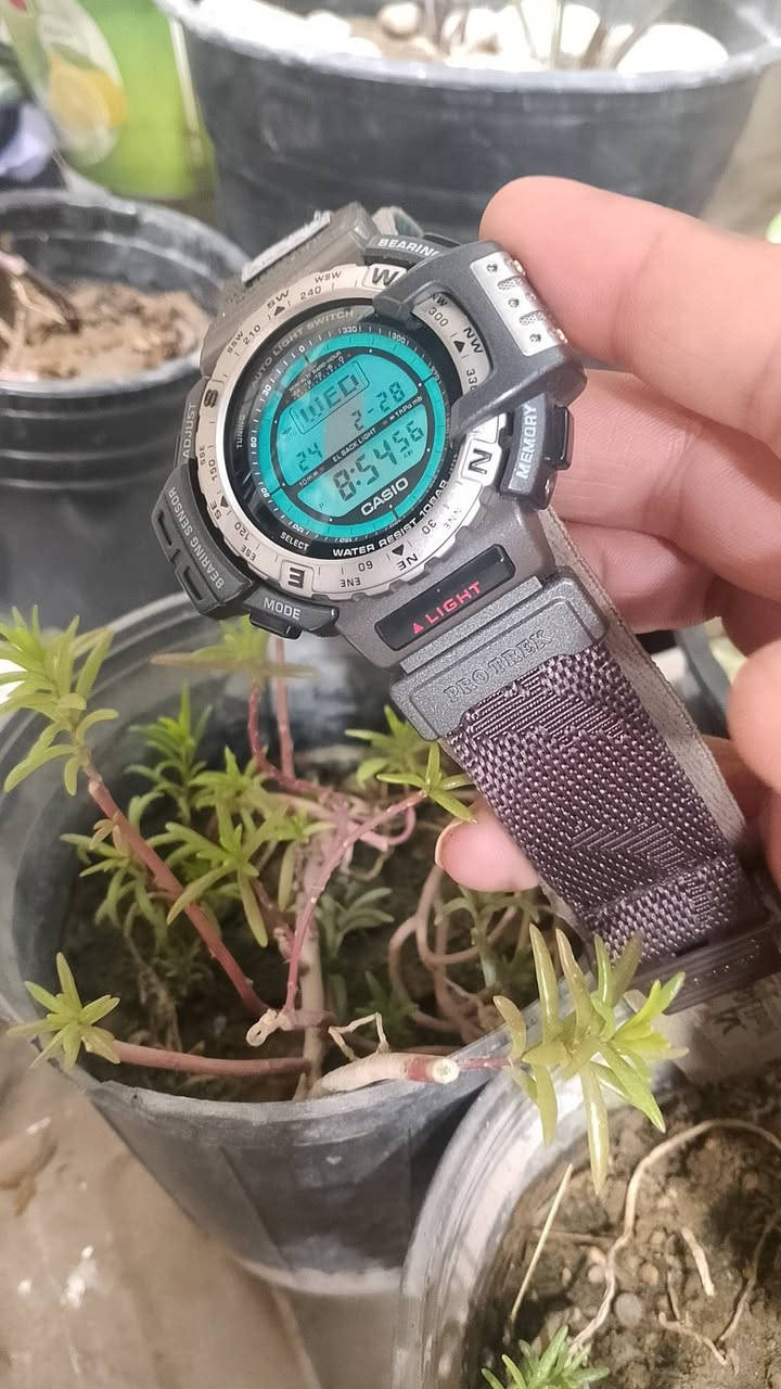 Casio Pro Trek PRT-40  
كاسيو بروتريك اصدار خاص ومحدود انتاج اليابان 1996
 بالتعاون مع منظمة BirdLife International (الحياة البرية). تتميز هذه الساعة الكلاسيكية، التي تعود لفترة التسعينيات، بكونها مخصصة للأنشطة الخارجية والاحترافية بفضل تزويدها بـ "المستشعر الثلاثي" (Triple Sensor). 
أهم المواصفات والميزات:
المستشعر الثلاثي: يتضمن بوصلة إلكترونية (Digital Compass)، ومقياساً للضغط الجوي (Barometer) مع مقياس للارتفاع (Altimeter)، ومستشعراً لدرجة الحرارة (Thermometer).
التصميم والإصدار: تحمل شعار "BirdLife" فوق الشاشة ومطبوعاً على الحزام، وهو إصدار نادر لهواة الجمع.
مقاومة الماء: تتمتع بمقاومة للماء حتى عمق 100 متر (10 BAR).
وظائف إضافية: تشمل إضاءة خلفية تلقائية (Auto Light Switch)، وخمسة منبهات يومية، وتقويماً كاملاً، وتنسيق وقت 12/24 ساعة.
التصميم والمواد: تأتي الساعة بهيكل من الراتينج/البلاستيك والفولاذ المقاوم للصدأ، وشكل دائري، وشاشة عرض رقمية. 
تتميز بحافة قابلة للدوران باتجاهين تستخدم كبوصلة لتحديد الاتجاهات
نظافة تامة


**إذا كنت صاحب هذا الإعلان وتريد حذفه لأي سبب، رجاءا أرسل رسالة إلى الدعم الفني**