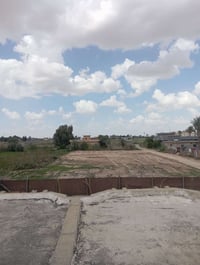 سند زراعي • ٢٢٥٠م • جاهزة زراعة