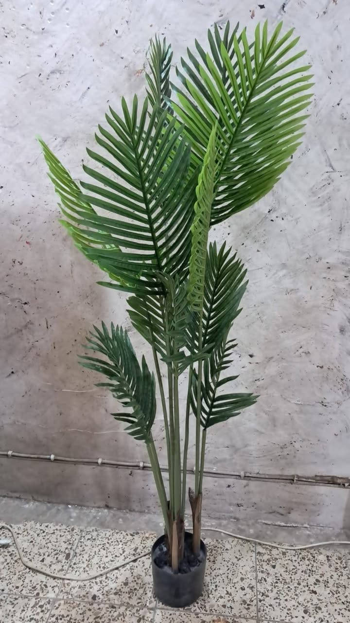 نخله صناعي ارتفاع 150 سم
السعر ب 20
12 غصن


**إذا كنت صاحب هذا الإعلان وتريد حذفه لأي سبب، رجاءا أرسل رسالة إلى الدعم الفني**