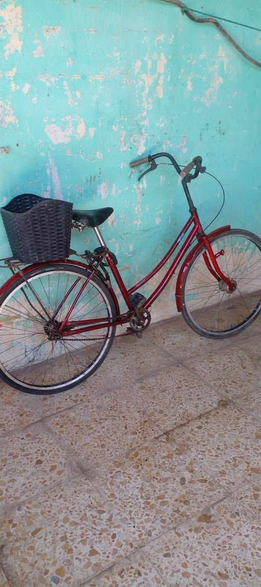 السلام عليكم بايسكل للبيع مثل مابالصوره سعر مناسب/ سعر خاص


**إذا كنت صاحب هذا الإعلان وتريد حذفه لأي سبب، رجاءا أرسل رسالة إلى الدعم الفني**