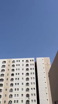 برادو • ٢٠١٠ • بسامية