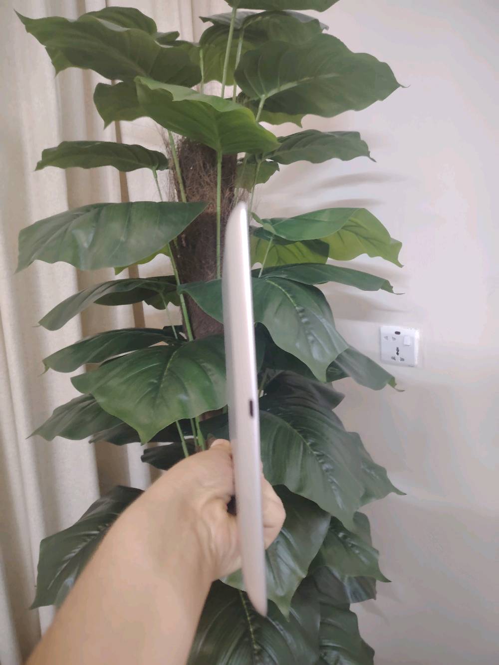 العنوان بغداد الوزيريه شارع نجيب باشا
متوفر ايبادين 4 ذاكره 16 ما مبدل بي شي ثنينهن نفس النظافه السعر الواحد 50 وبي مجال الرقم *********** 