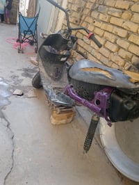 شاصي • عدلة • اغراض