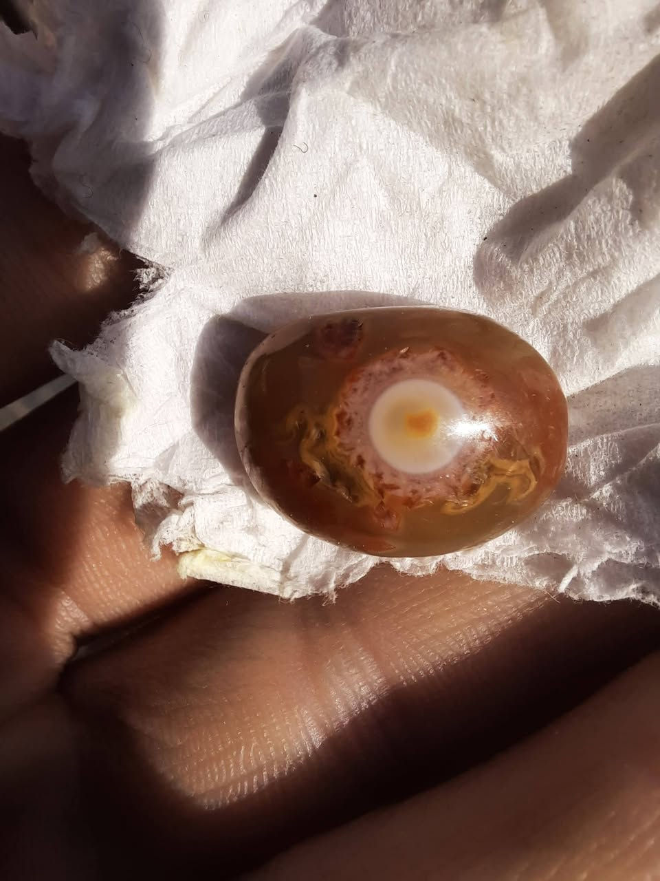 السلام عليكم سليماني هندي عين شمسيه مصور داخل العين قلب قديم ابيع لليهتم السعر خاص (تريد تصوير اوضح تعال خاص )
يوجد توصيل


**إذا كنت صاحب هذا الإعلان وتريد حذفه لأي سبب، رجاءا أرسل رسالة إلى الدعم الفني**