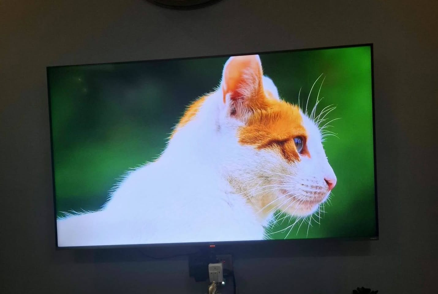 شاشة تي سي ال حجم 55 سعرة ٥٠٠


**إذا كنت صاحب هذا الإعلان وتريد حذفه لأي سبب، رجاءا أرسل رسالة إلى الدعم الفني**