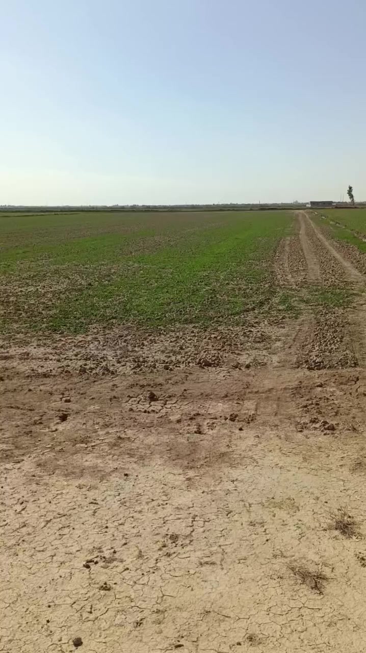 عقد زراعي 15 دونم
سعر الدونم 10مليون
وبي مجال/العنوان ديالى خان بني سعد شارع الدمن مقابيل المحبوبيه
*********** 📞
