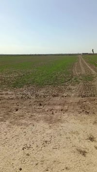 عقد زراعي • ١٥ دونم • خان بني سعد