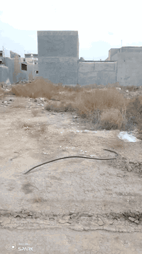 قطعة أرض للبيع زراعي حي المهندسين سند 25
المساحة 172 
8×21 ونص 
منطقة حلوة وهائدة وخدمات متوفرة 
ماء 
كهرباء 
مجاري 
الفرع الثالث 
***********
السعر اتصال أو خاص
