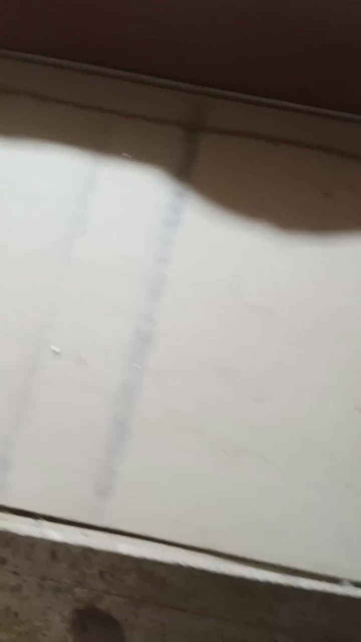 السلام عليكم اخوان عندي اغراض للبيع كنتور 4ابوابسعره150. وجرابي 2وحده بيه كسر بسيط والثانيه كلشي مابيه سعرهن 75


**إذا كنت صاحب هذا الإعلان وتريد حذفه لأي سبب، رجاءا أرسل رسالة إلى الدعم الفني**