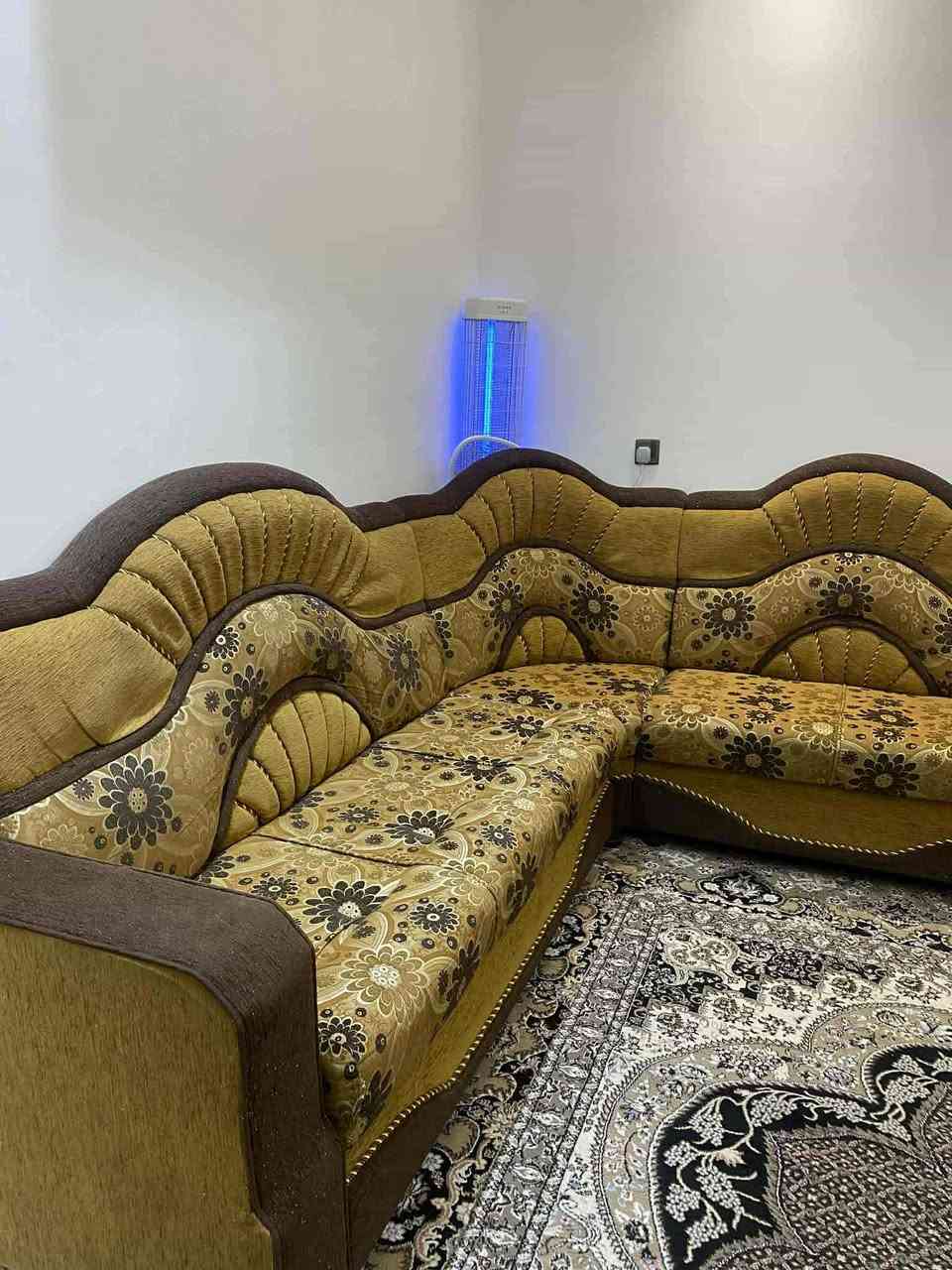 سلام عليكم ديوان 9 متر مثل ما موضح بل صور نضيف و ثقيل سعرو 200 الف وبي مجال بسيط للتواصل او الاستفسار عل خاص
