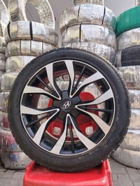 تخم ويل كب حجم 18 بيع او مراوس المكان بغداد  07775550209